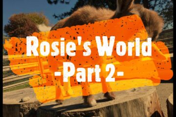 Title picture of a little movie of Rosie called "Rosie's World -Part2-"
